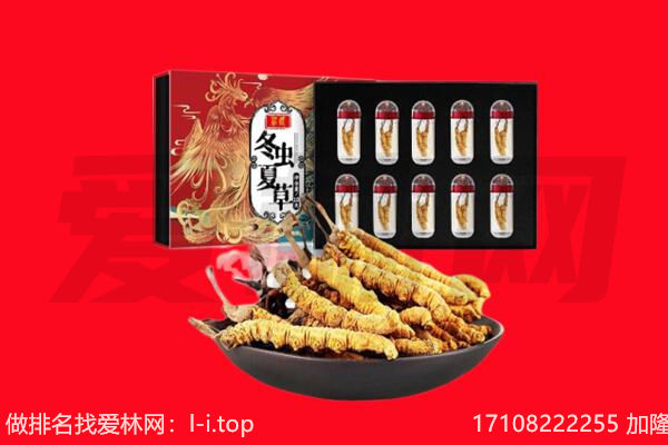 茫崖冬虫夏草回收