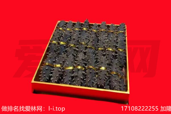 茫崖海参回收