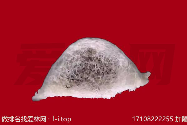 茫崖燕窝回收